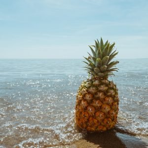 beach, coast, fruit