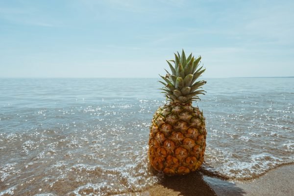 beach, coast, fruit